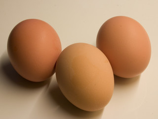 Eggs