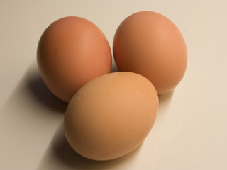 Eggs