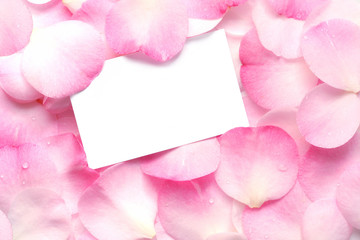 Blank gift card on pink petals, with raindrops.