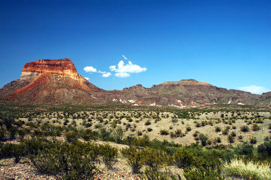 A view of the Chisos Mountains in big Bend National Park.