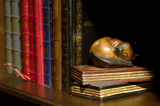 Detalle de una librer&iacute;a