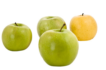 Four fresh apples in drops of water on a white background