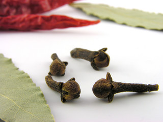 Spices. Clove. A close up. Isolated on a white background.
