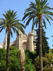 Palma © marvellousworld