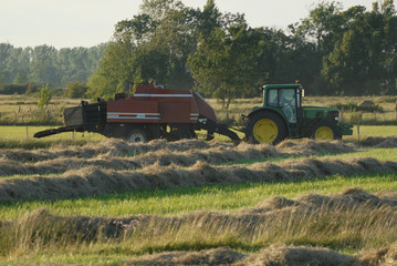 Fototapeta premium Récolte du foin en marais vendéen