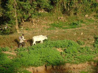 Campagne, Battambang