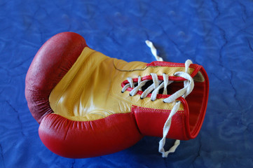 boxer