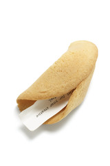 Fortune Cookie on White Background