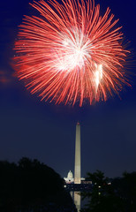 View of the 4th of July Fireworks in Washington DC