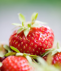 Fresh strawberries in star shaped glass bowl