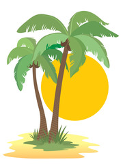 Coconut palm trees, sun, sunset and beach