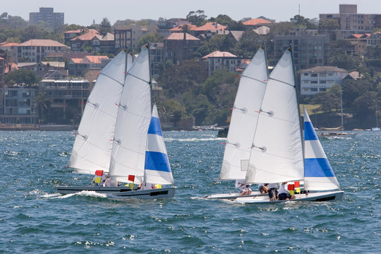Sailing boats racing on the harbour