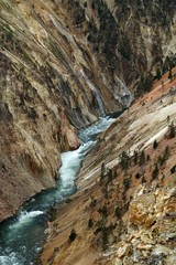 Grand Canyon of the Yellowstone