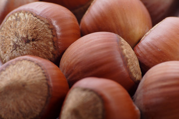 Big nuts. Shot in a studio. .