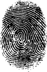 Hi Detail Fingerprint 1