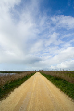road through a summer landscape
