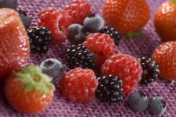 Blueberry, strawberry, raspberry and blackberry close up