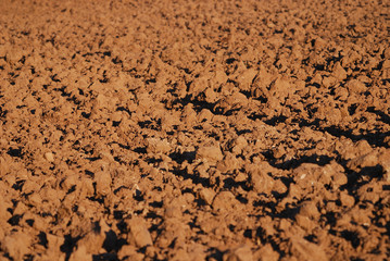 agricultural background