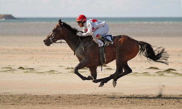 Cheval au galop