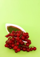 red currant