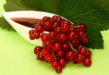 red currant