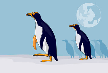 Yellow eyed penguins on the march