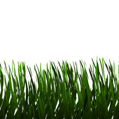 a large illustration of nice green grass on a white background