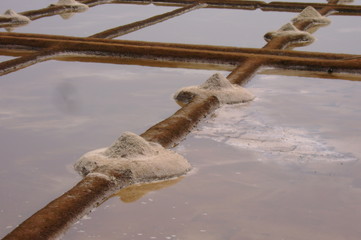 marais salant
