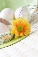 fresh free range farm  eggs