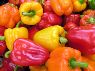 multi-colour sweet papricas