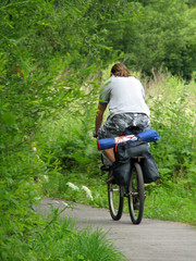 cyclist