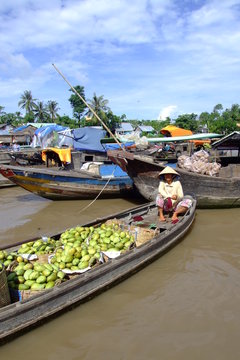 Marche flottant, Vietnam