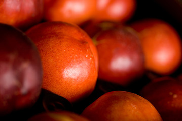 brugnon; fruit; rouge; été; brillant; juteux; prune; pêche