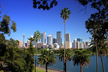 Fototapeta na wymiar Sydney skyline ..