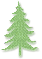 sapin vert
