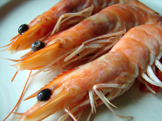 Crevettes