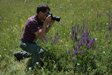 Fototapeta premium photo nature