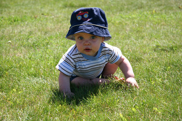 Little Boy Crawling in the grass