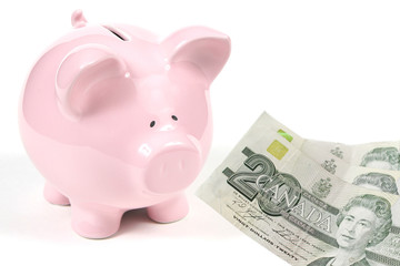 Pink Piggy Bank on isoalted with twenty dollars bills - money