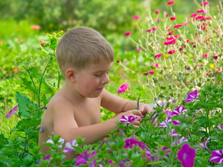 liitle boy closeup in flower bed and green grass