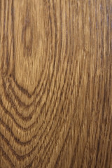 oak panel in close up