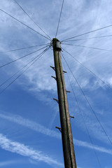 Fototapeta premium lone telephone pole