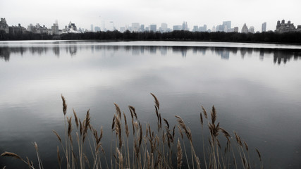 Foggy day in Central Park reservoir, NYC