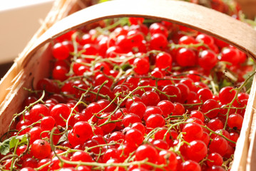 Red currant in basket
