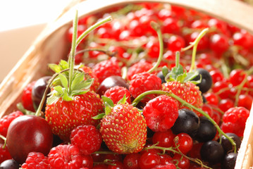 Berries in basket