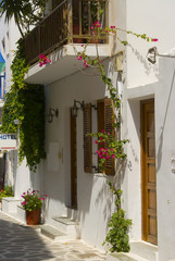 greek island street scene hotel   flowers   cubic architecture  