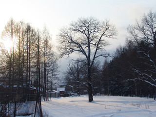 A view of a cold dark winter day in a village