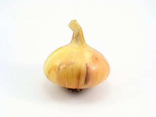 Obraz premium vegetable