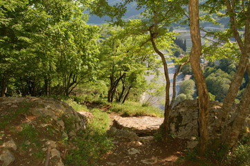 mountain path of the Caucasus
