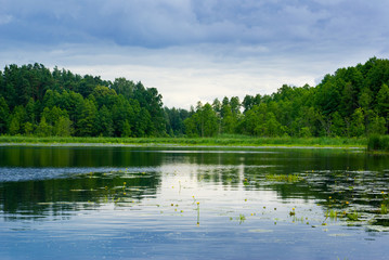 Fototapeta premium Lake and forest view.